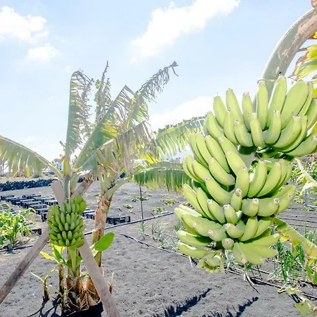 乡村民宿 Casa Veroles Lanzarote *