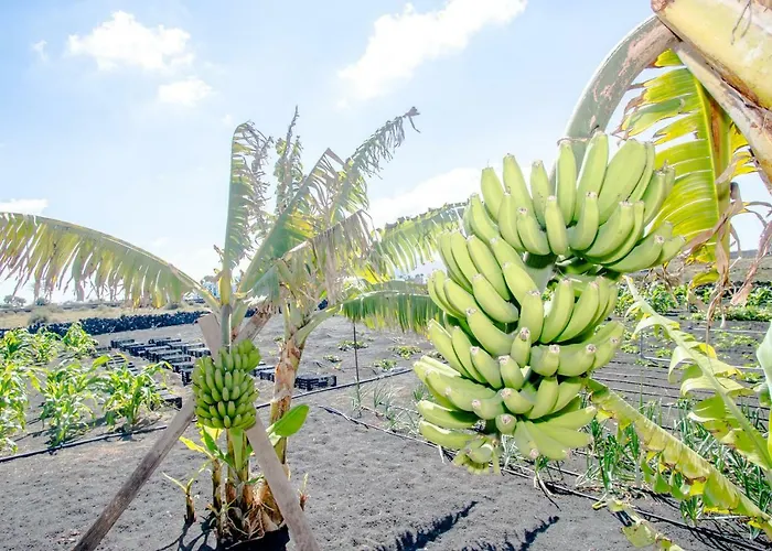 Летний дом Casa Veroles Lanzarote *