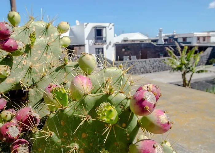 Летний дом Casa Veroles Lanzarote *