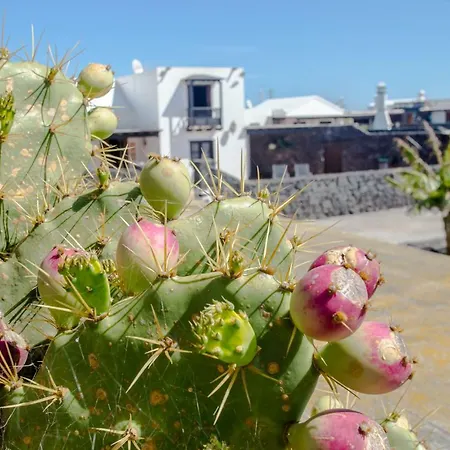 Gospodarstwo wiejskie Casa Veroles Lanzarote *